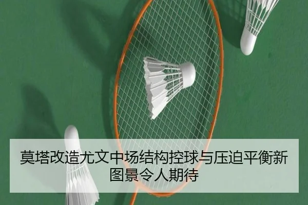 mo-ta-gai-zao-you-wen-zhong-chang-jie-gou-kong-qiu-yu-ya-po-ping-heng-xin-tu-jing-ling-ren-qi-dai-2-979.jpg